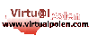 Virtualpolen
